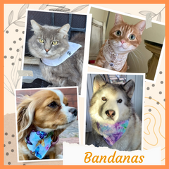 Bandanas