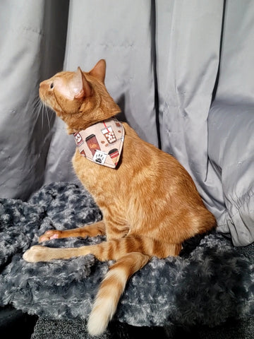 Purrista Bandana