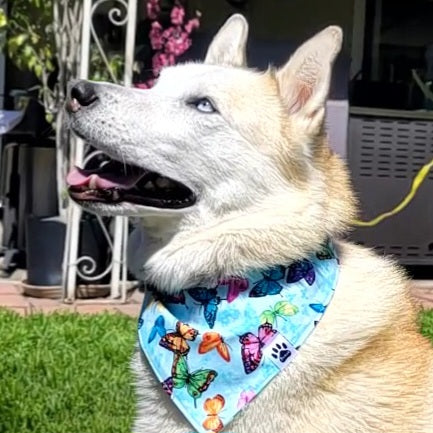 Wings of Wisdom Bandana