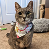 Dragon Fruit Bandana