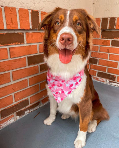 Mingling Together Bandana