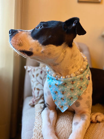 Sweet as can Bee Bandana