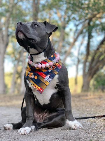 Rebel Alliance Bandana