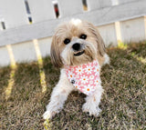 Counting Sheep Bandana