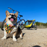 Taco ‘bout my Dino Bandana