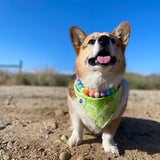 Taco ‘bout my Dino Bandana