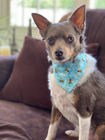 Sweet as can Bee Bandana