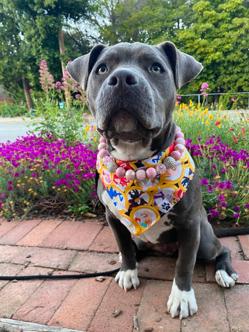 Retro Action Bandana