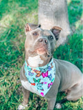 Wings of Wisdom Bandana