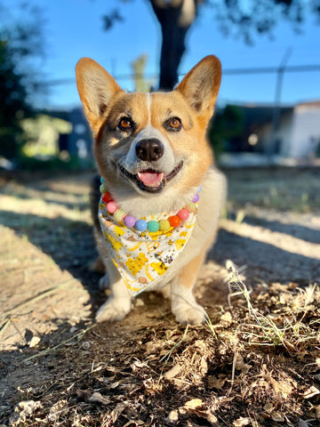 Little Bugaboos Bandana